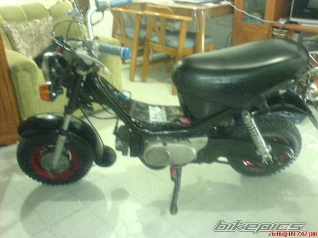 Photo 1819769