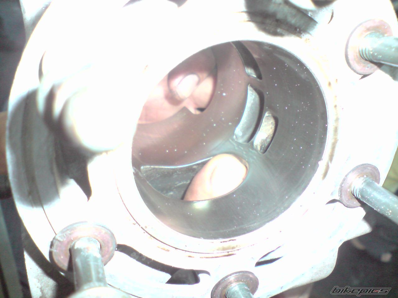 Photo 1819842
