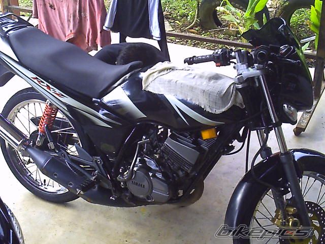 Photo 1819863