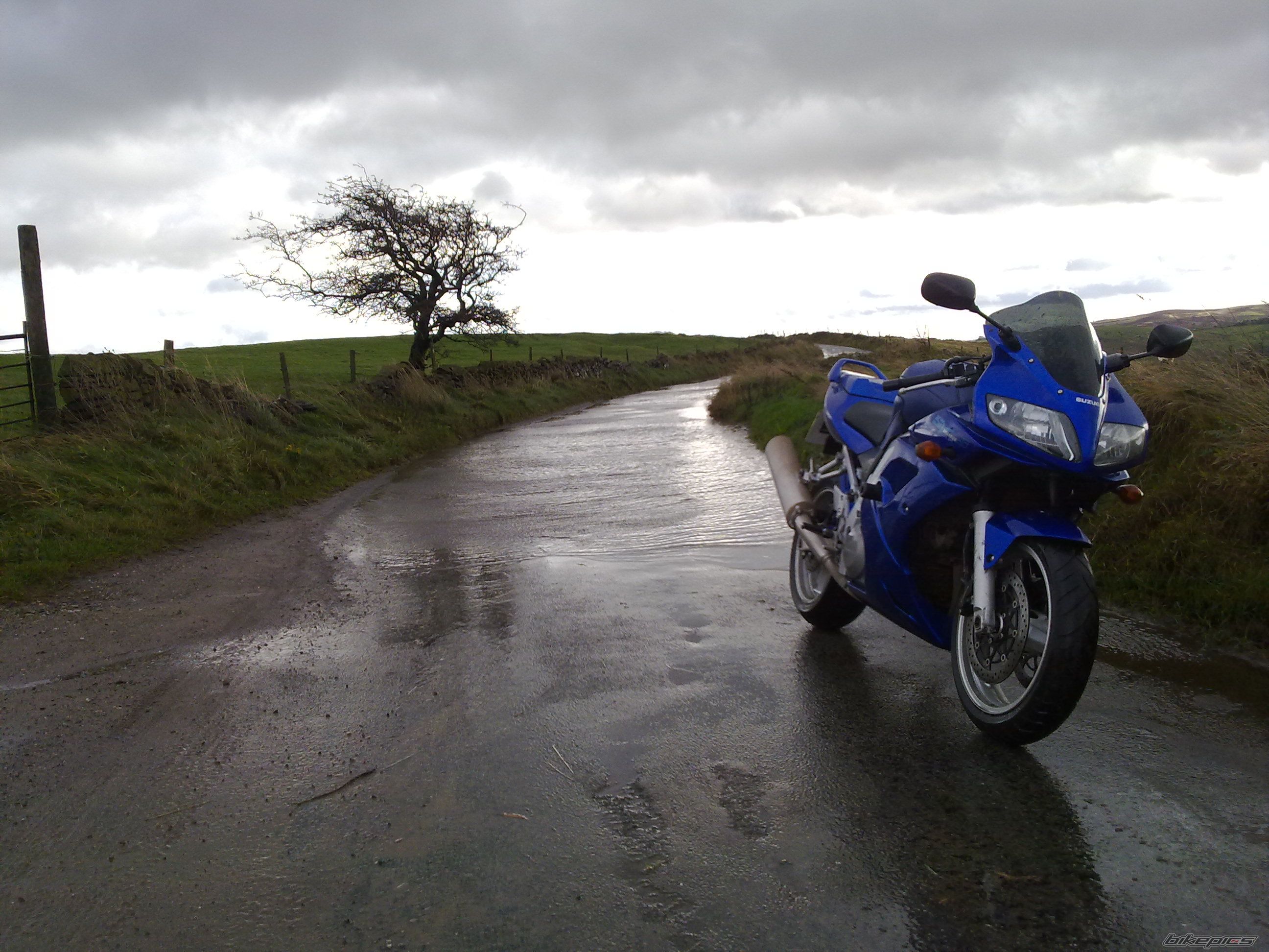 Photo 1820069