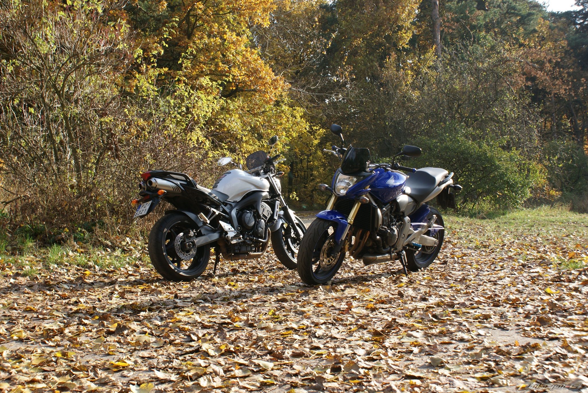Bike Photo 1820127