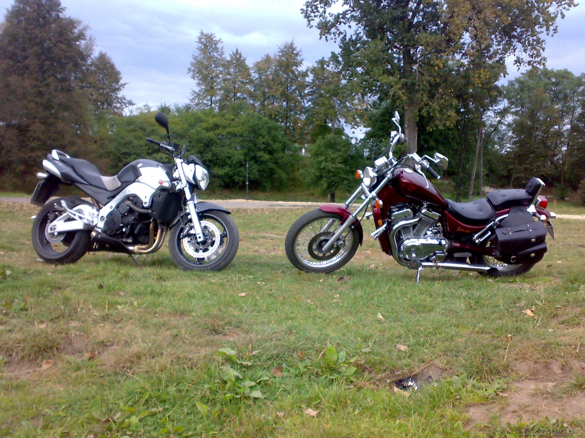 Photo 1820477