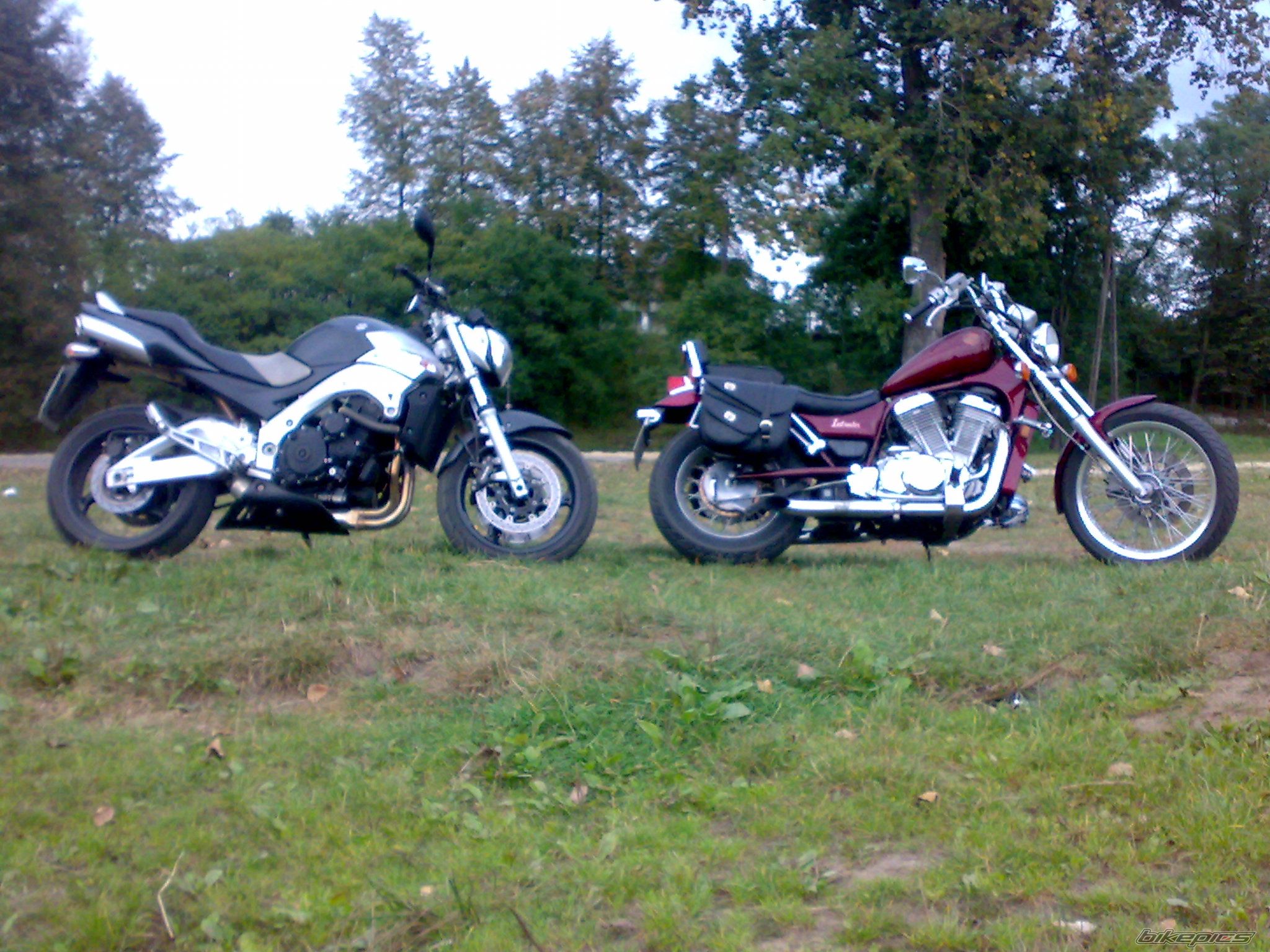 Photo 1820478