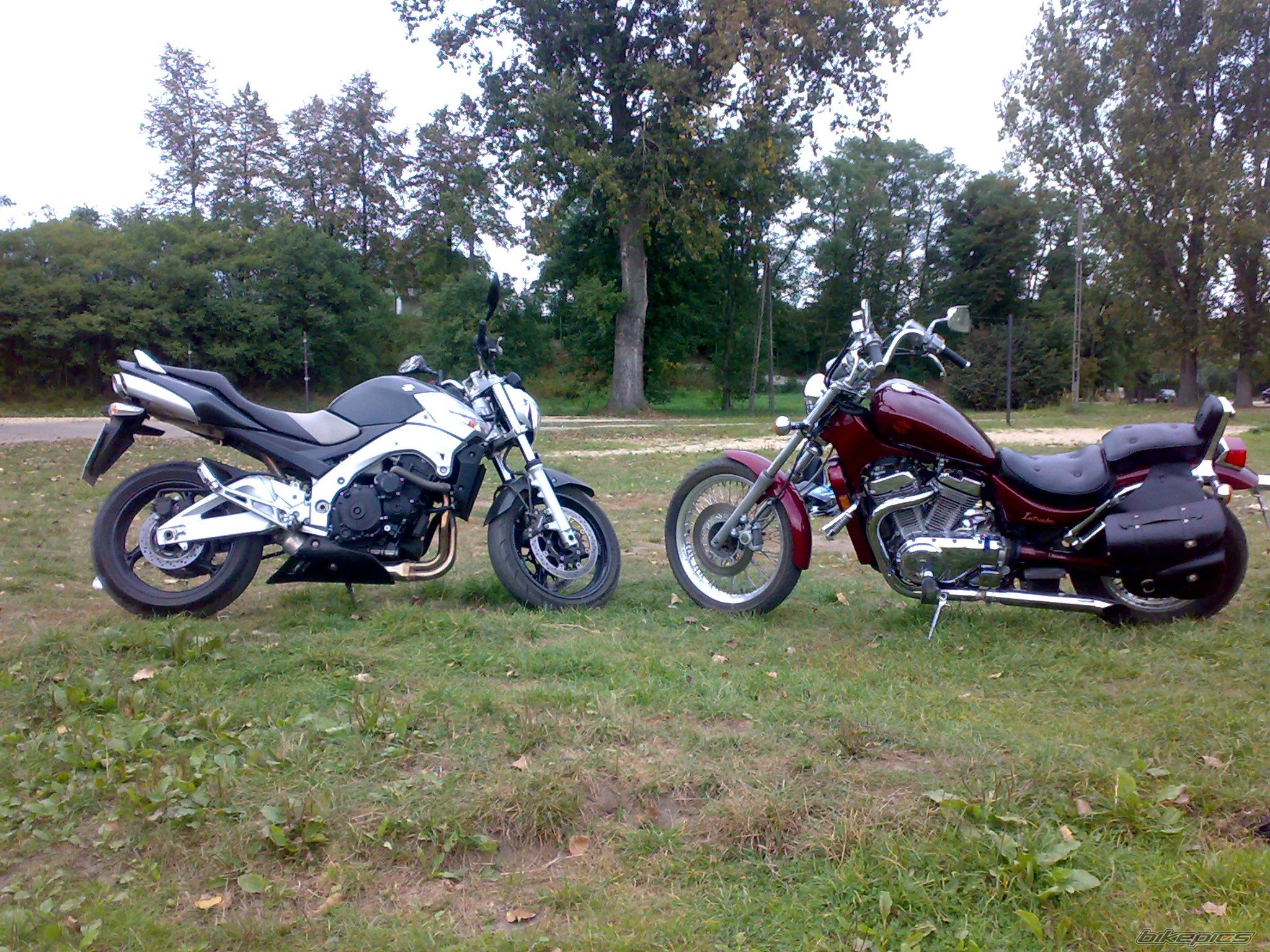 Photo 1820482