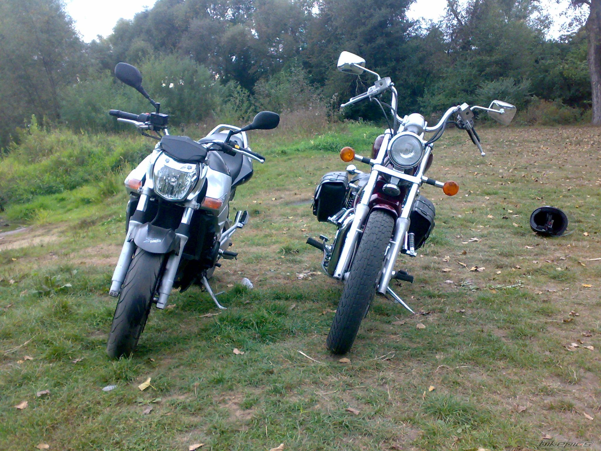 Photo 1820484