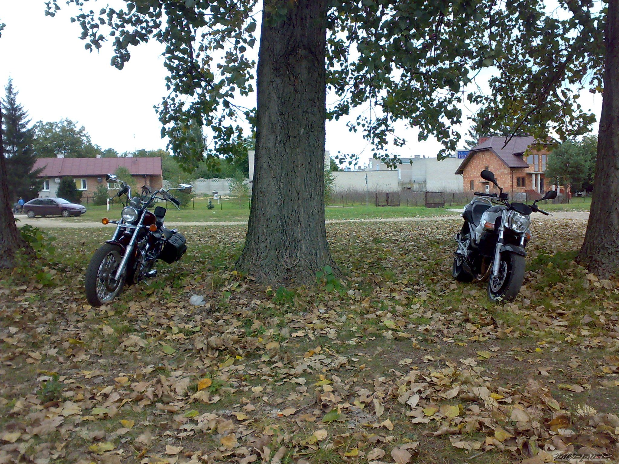 Photo 1820486