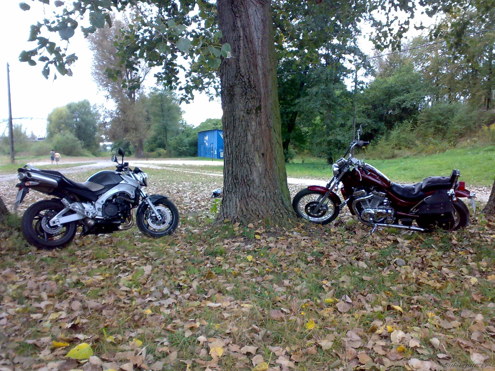 Photo 1820487