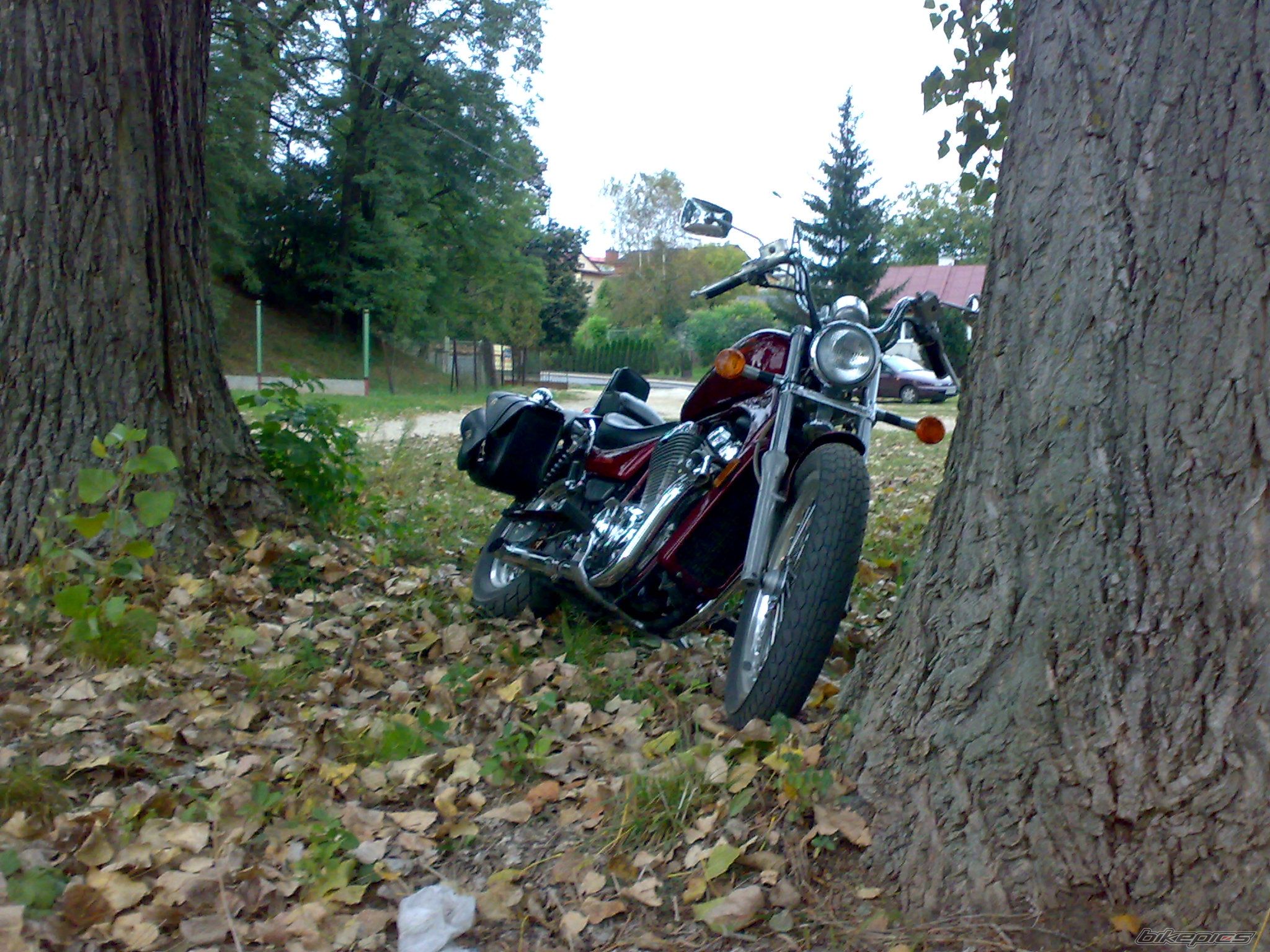 Photo 1820489