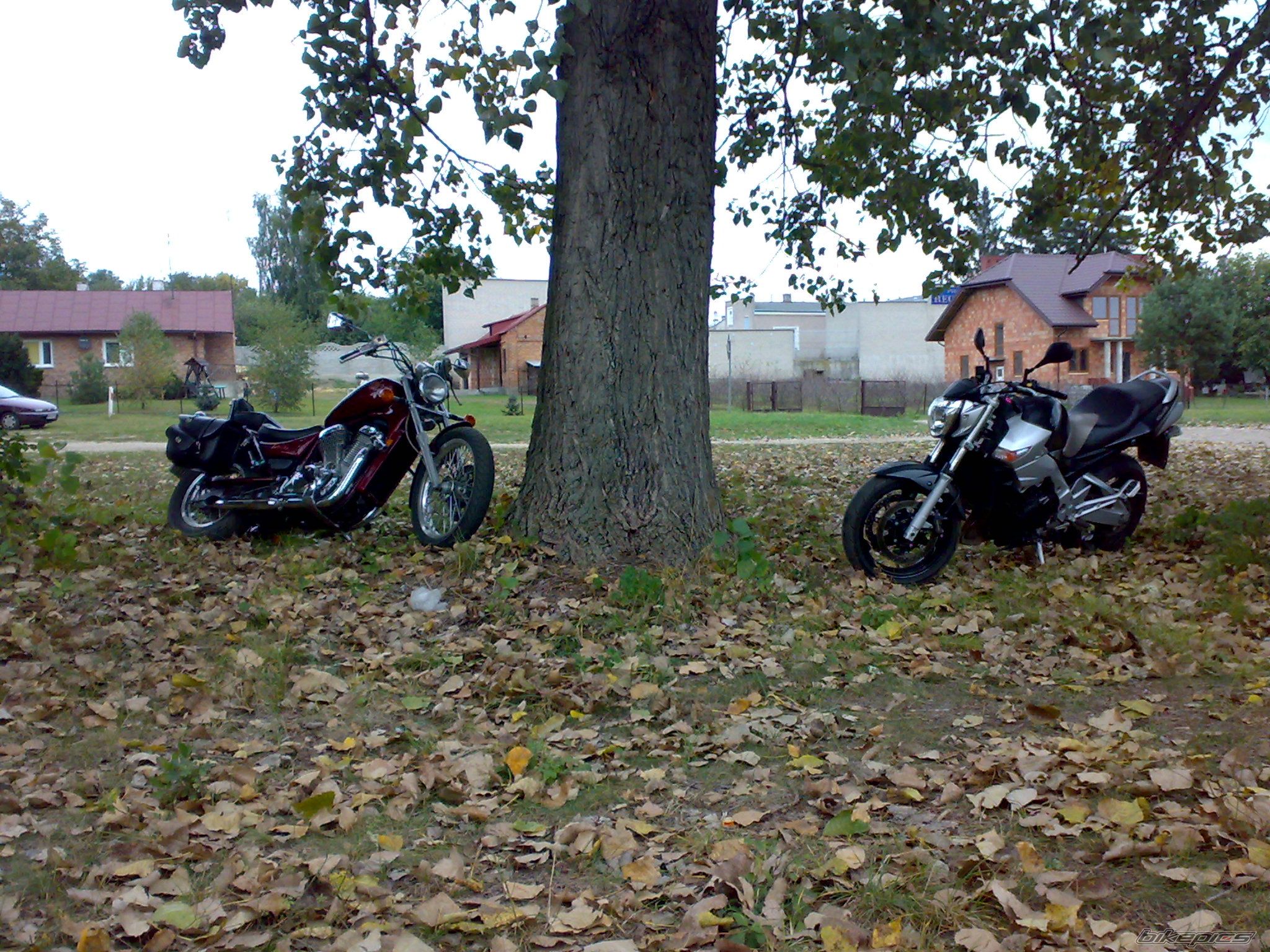 Photo 1820491