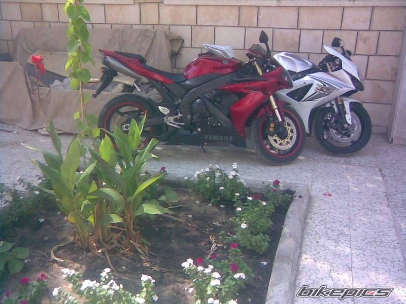 Bike Photo 1820506