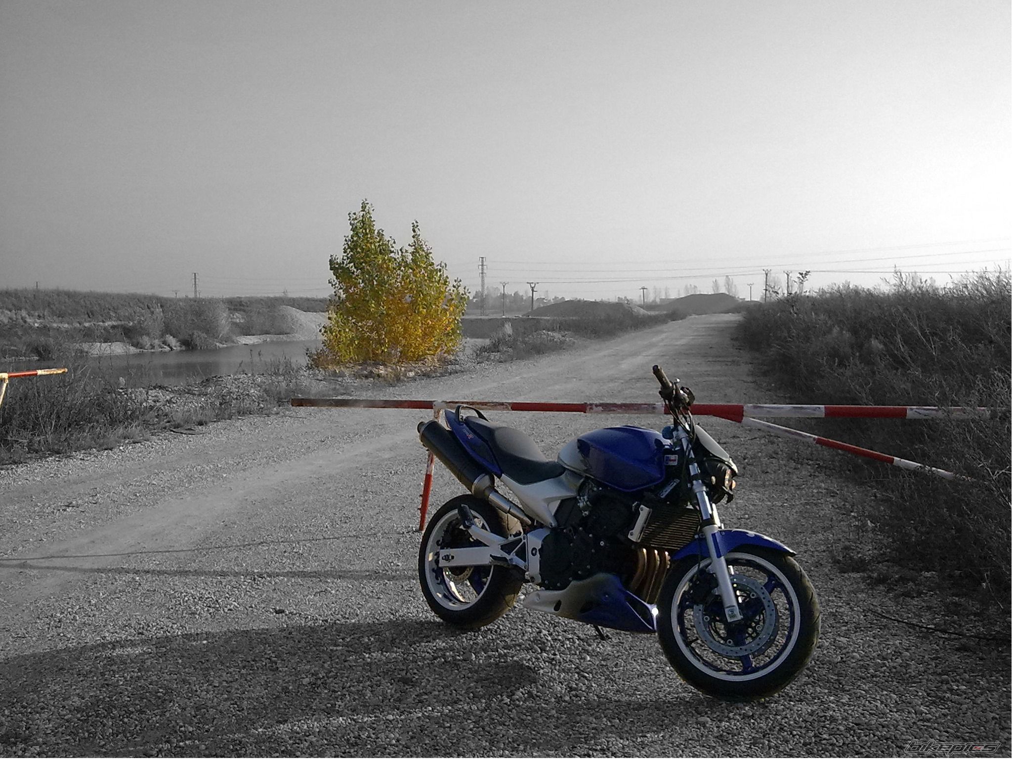 Bike Photo 1820556