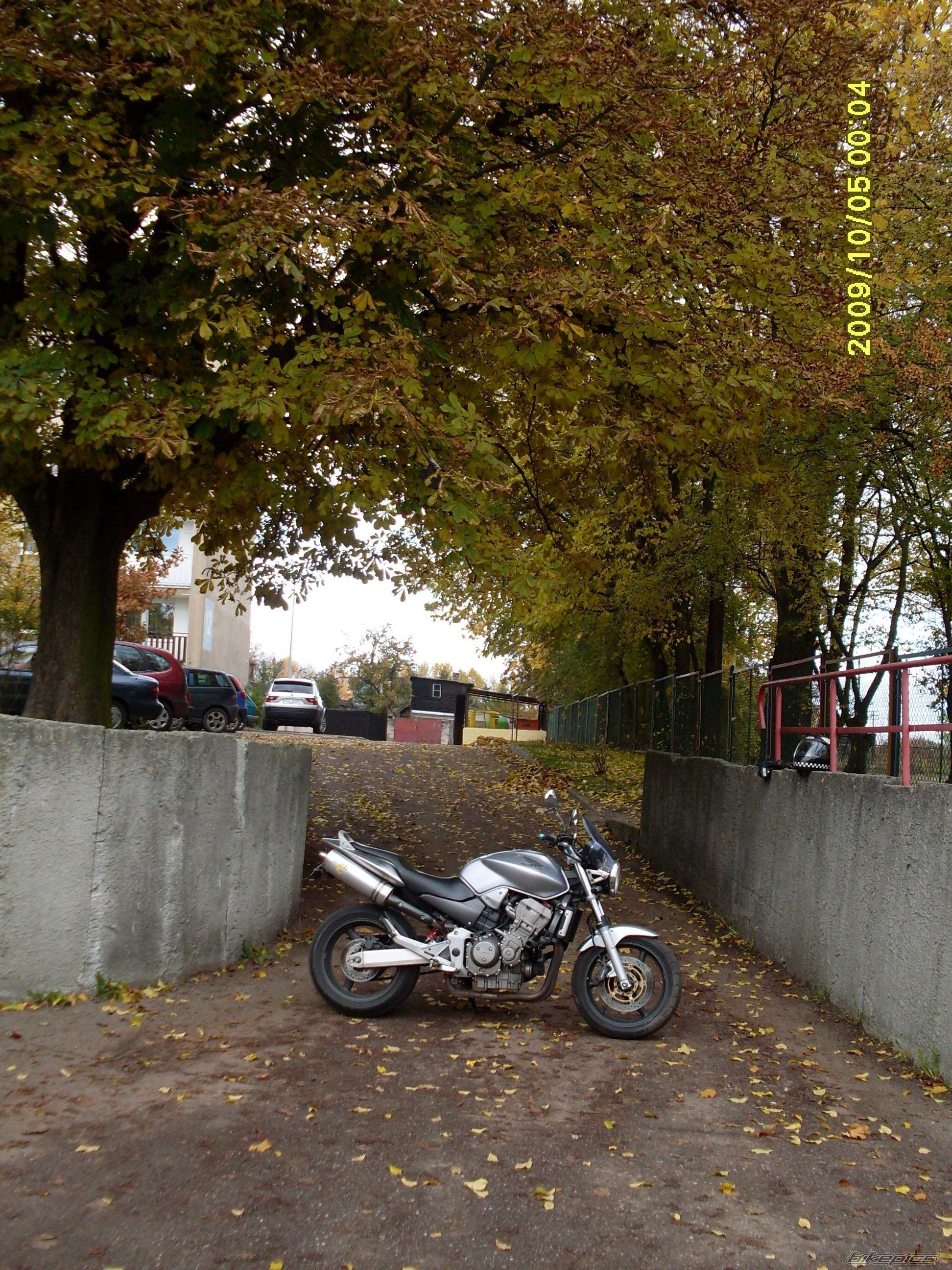 Photo 1820915