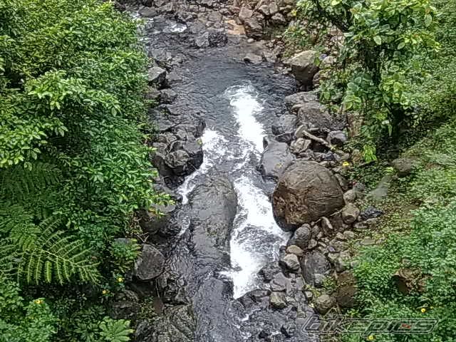 Photo 1821116