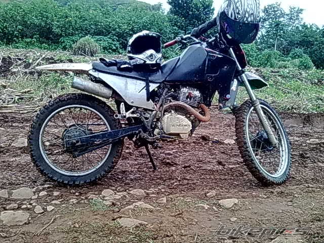 Photo 1821153