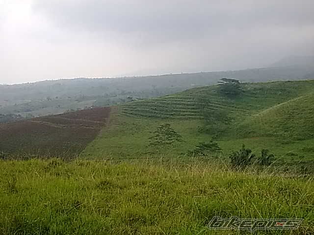 Photo 1821160