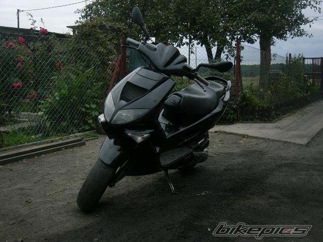 Photo 1821569