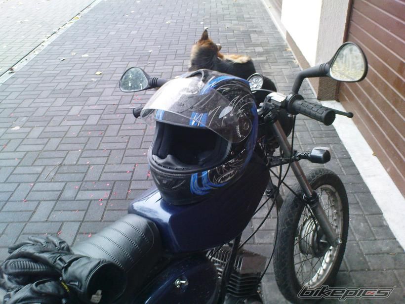 Photo 1821579