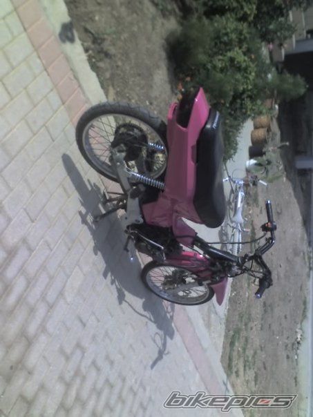 Photo 1821683