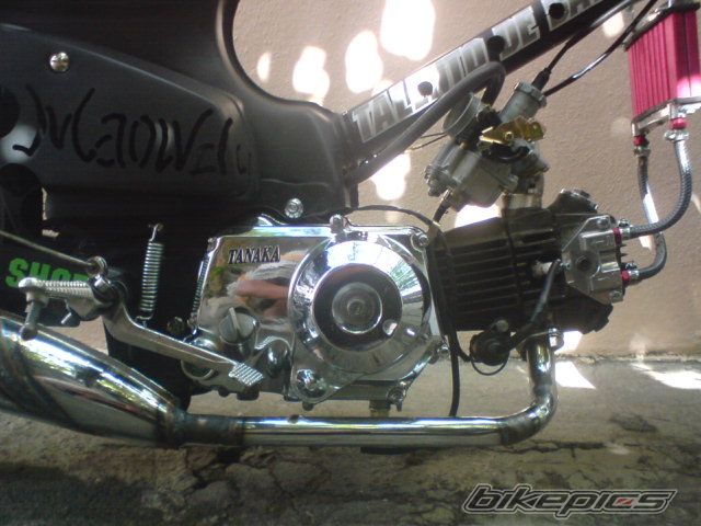 Photo 1821820