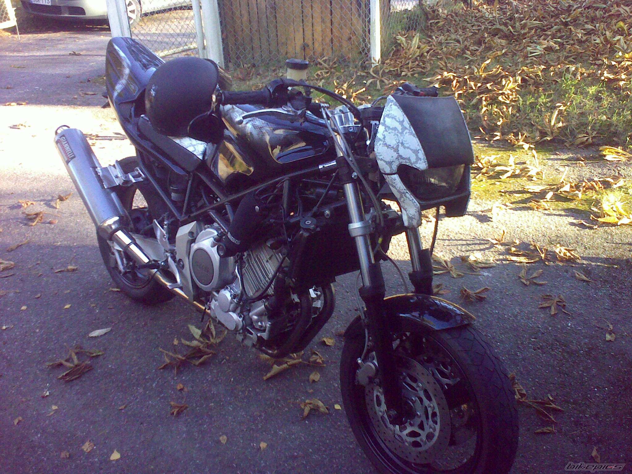 Photo 1822004