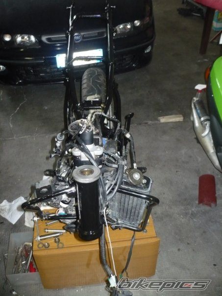 Photo 1822047