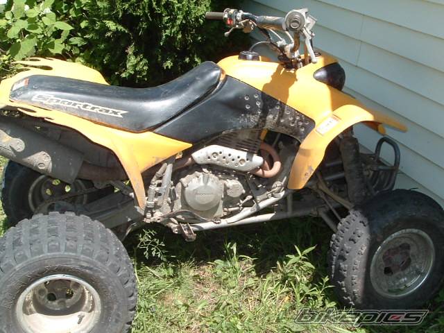Photo 182212