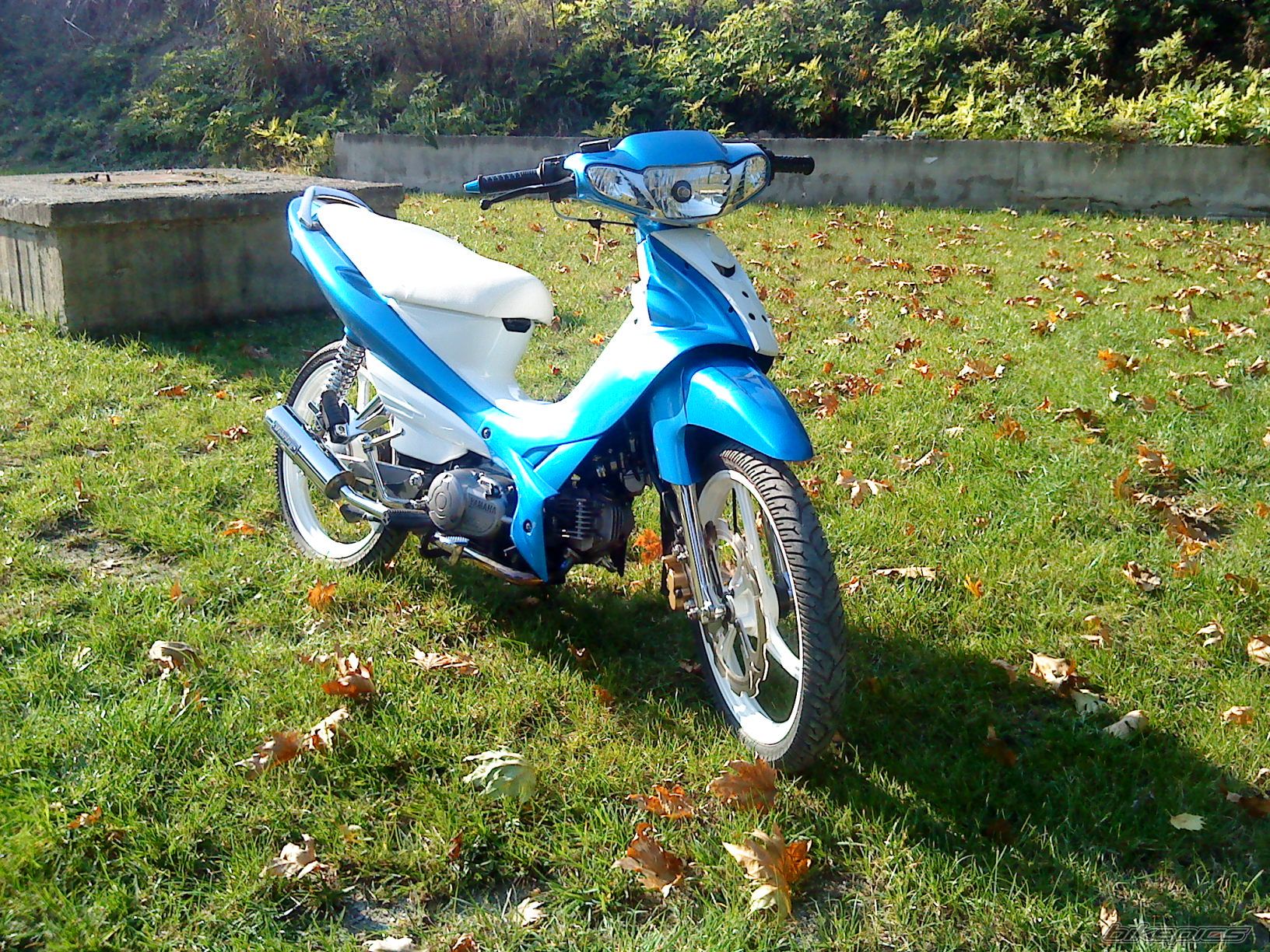 Photo 1822168