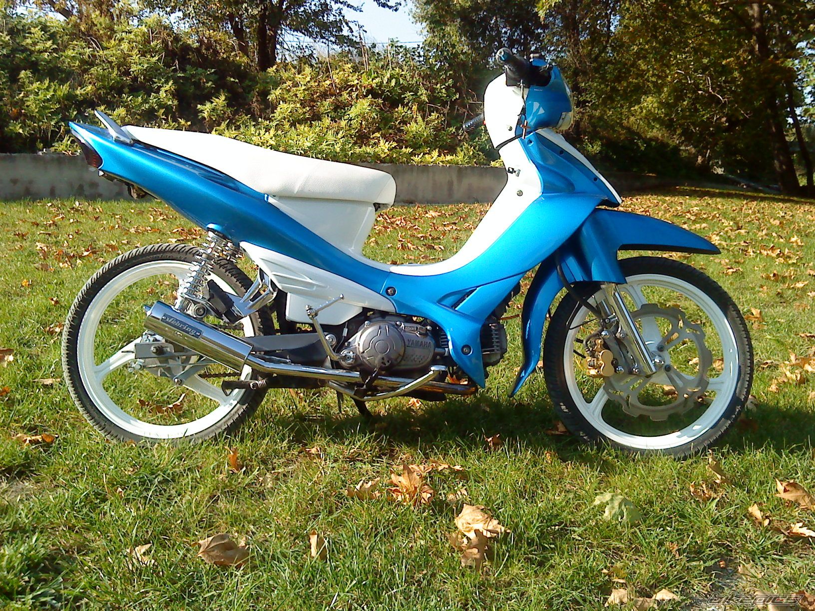 Photo 1822173