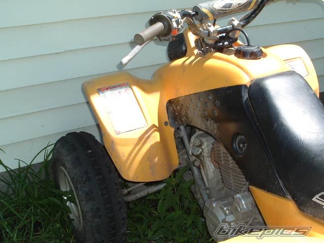 Photo 182218