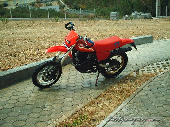 Photo 182233