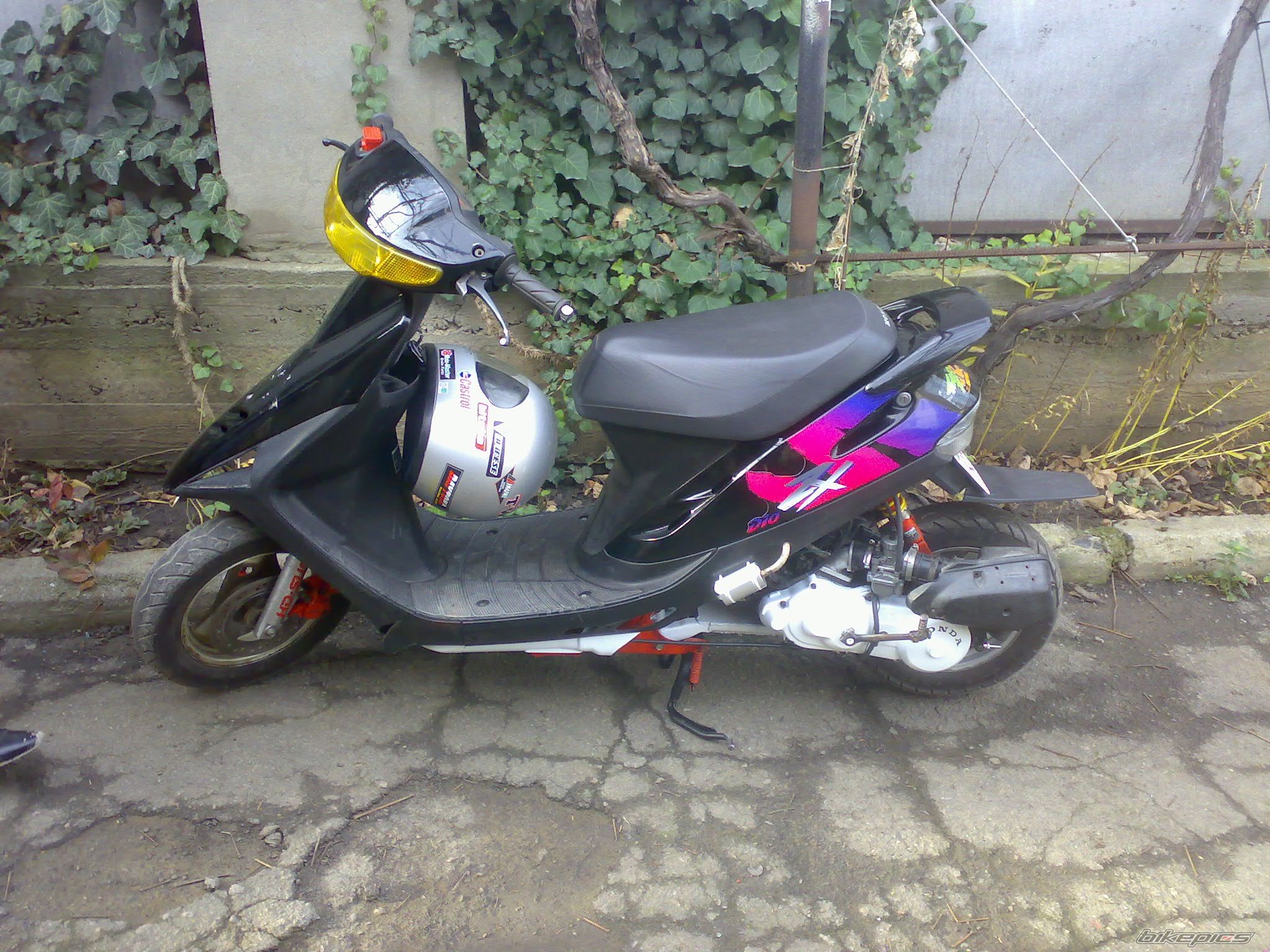 Photo 1822519