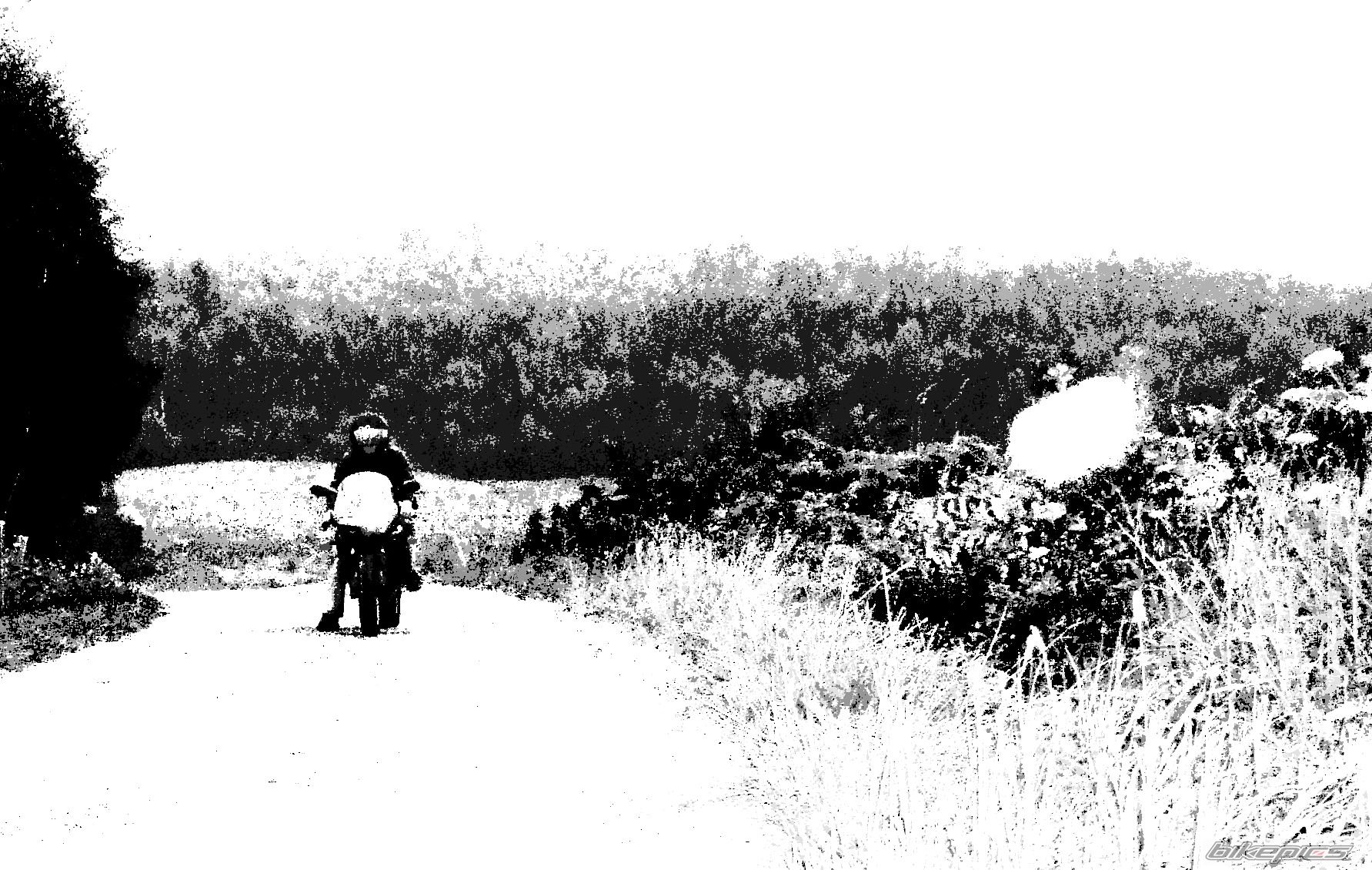 Bike Photo 1822526