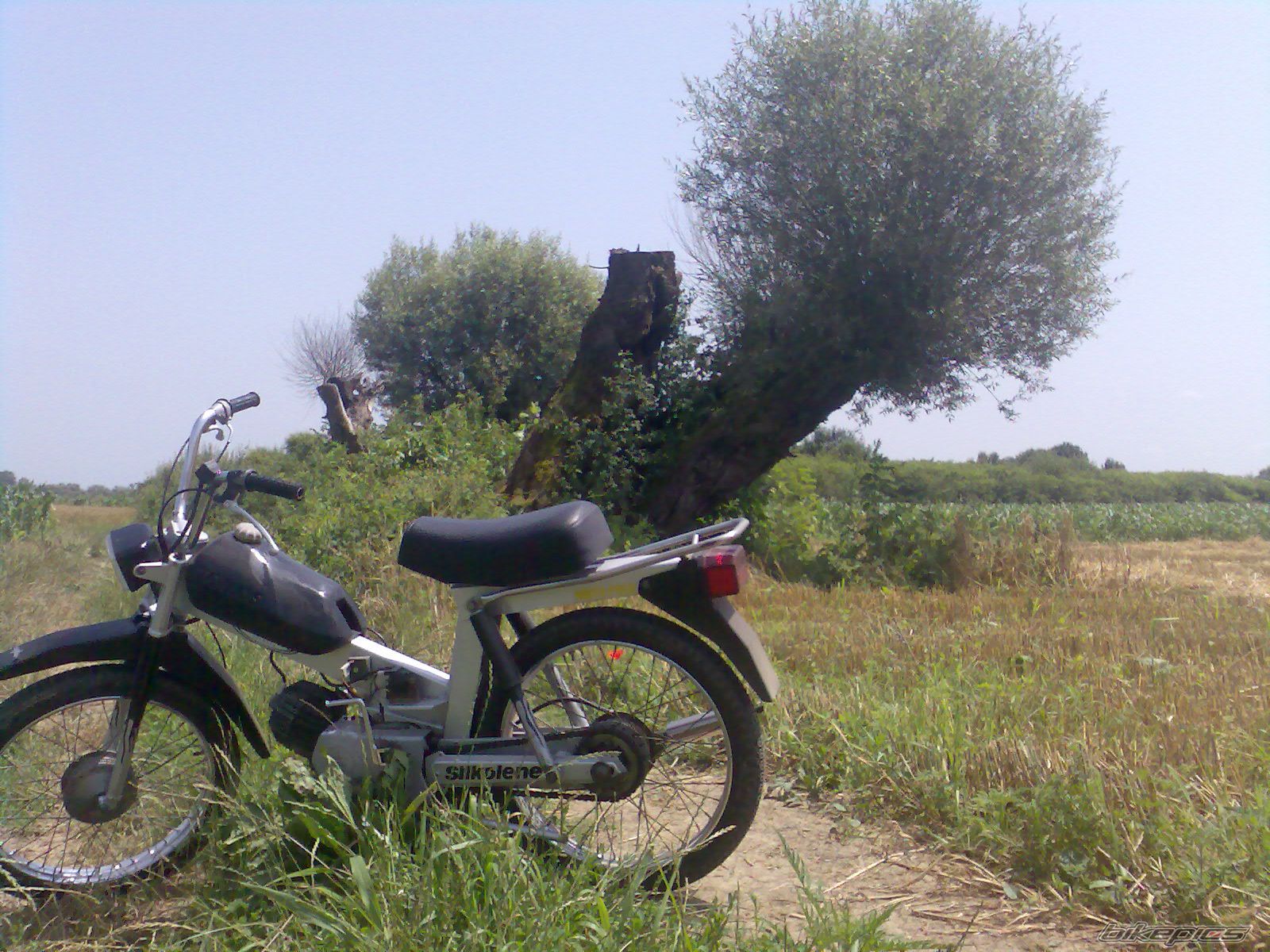 Photo 1822579