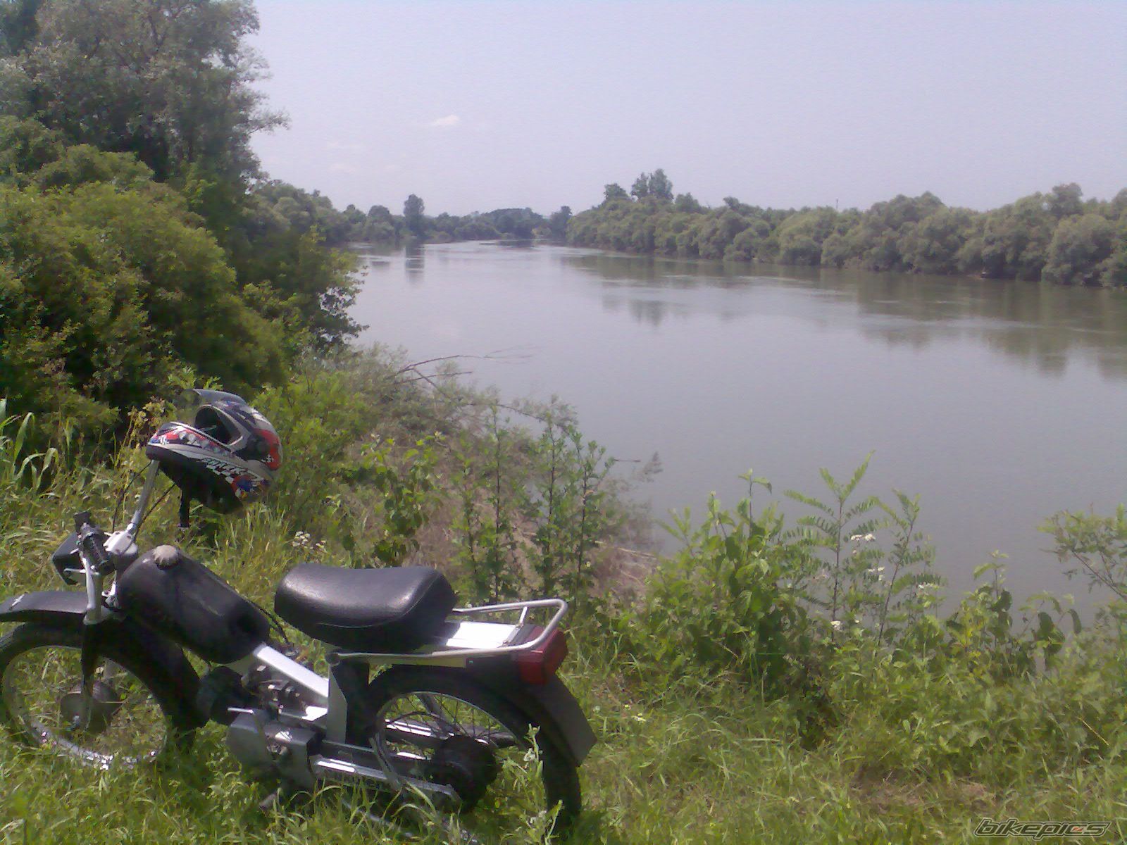 Photo 1822584