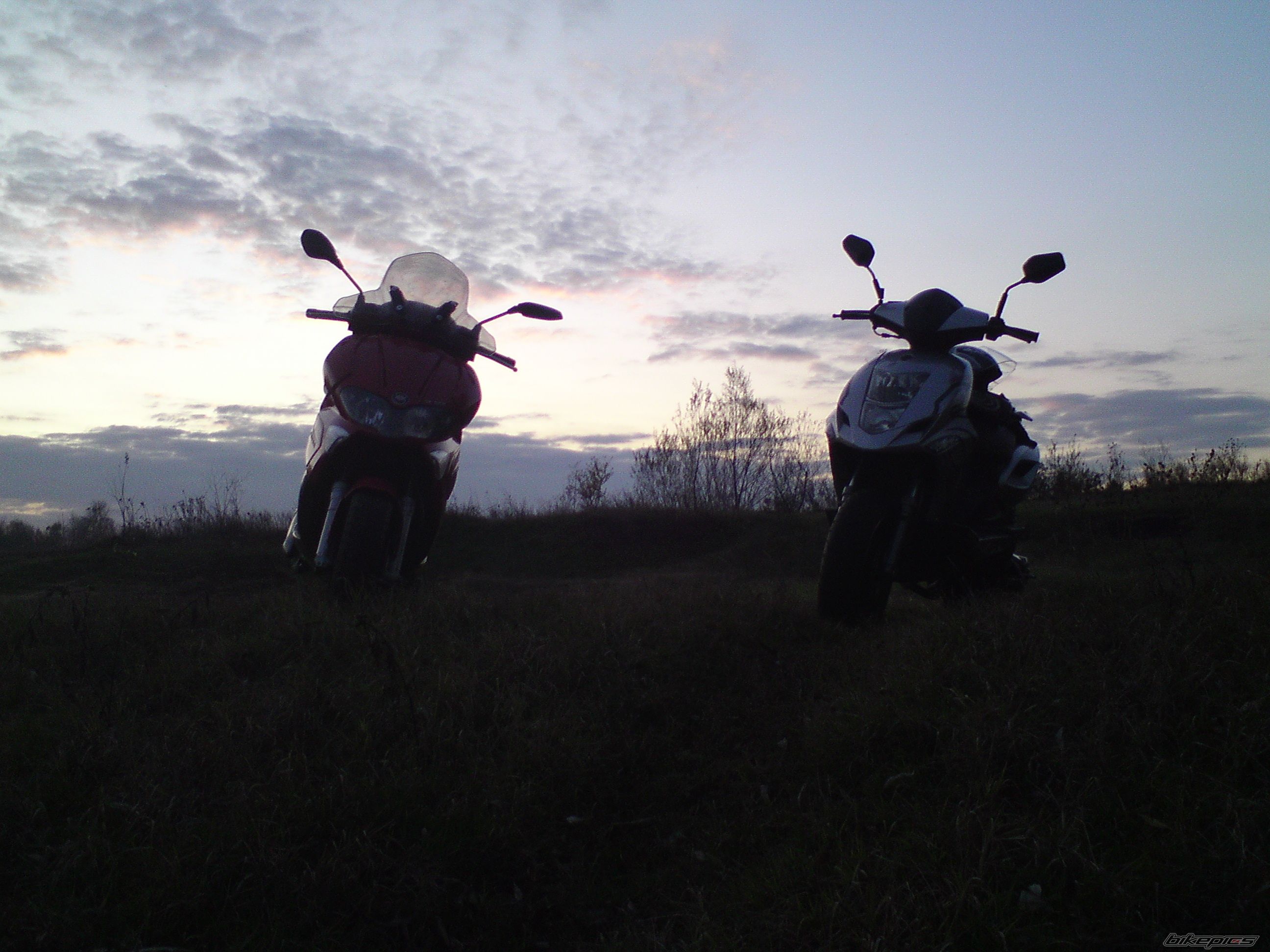 Photo 1822615