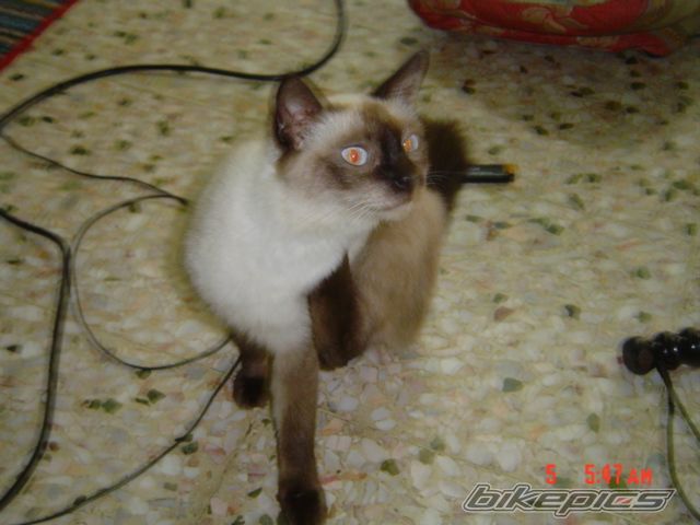 Photo 1822844