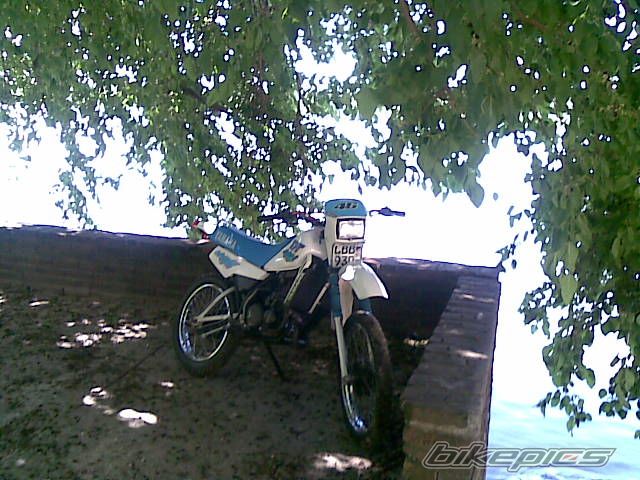 Photo 1823650