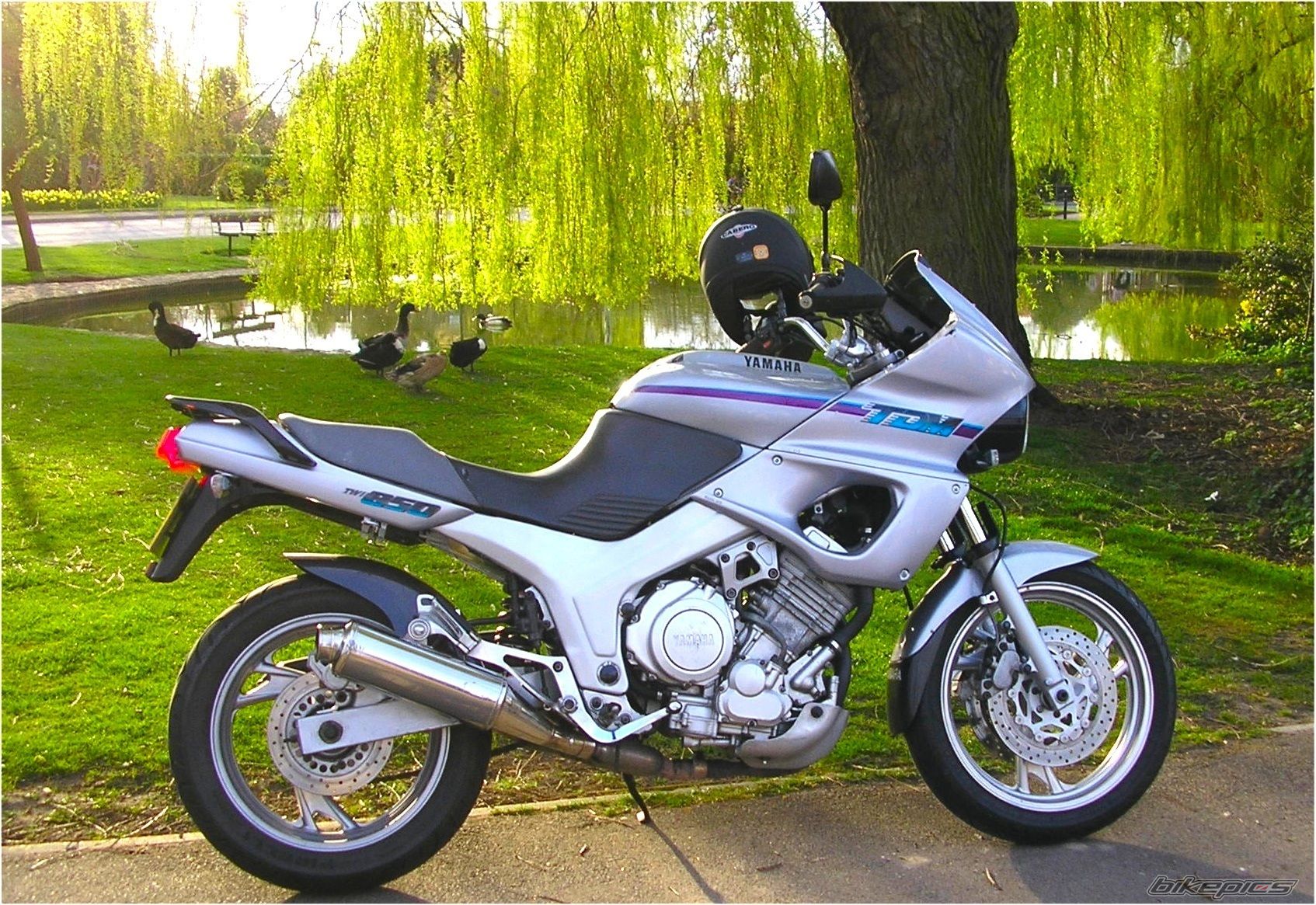 Bike Photo 1823676