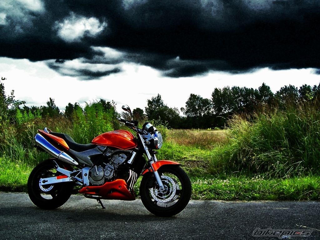 Photo 1823743