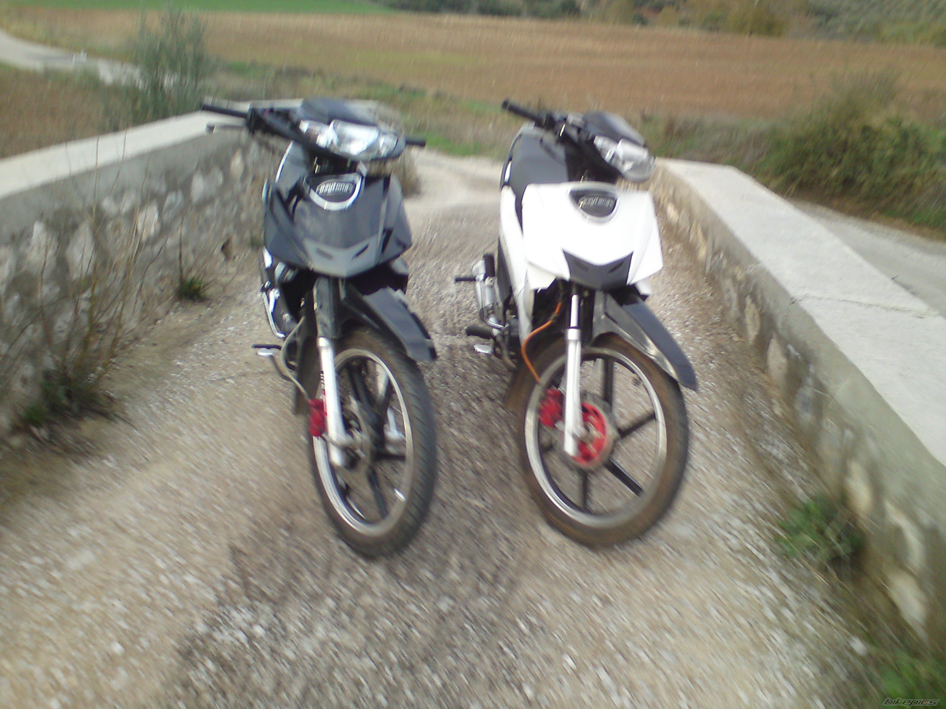 Photo 1823755
