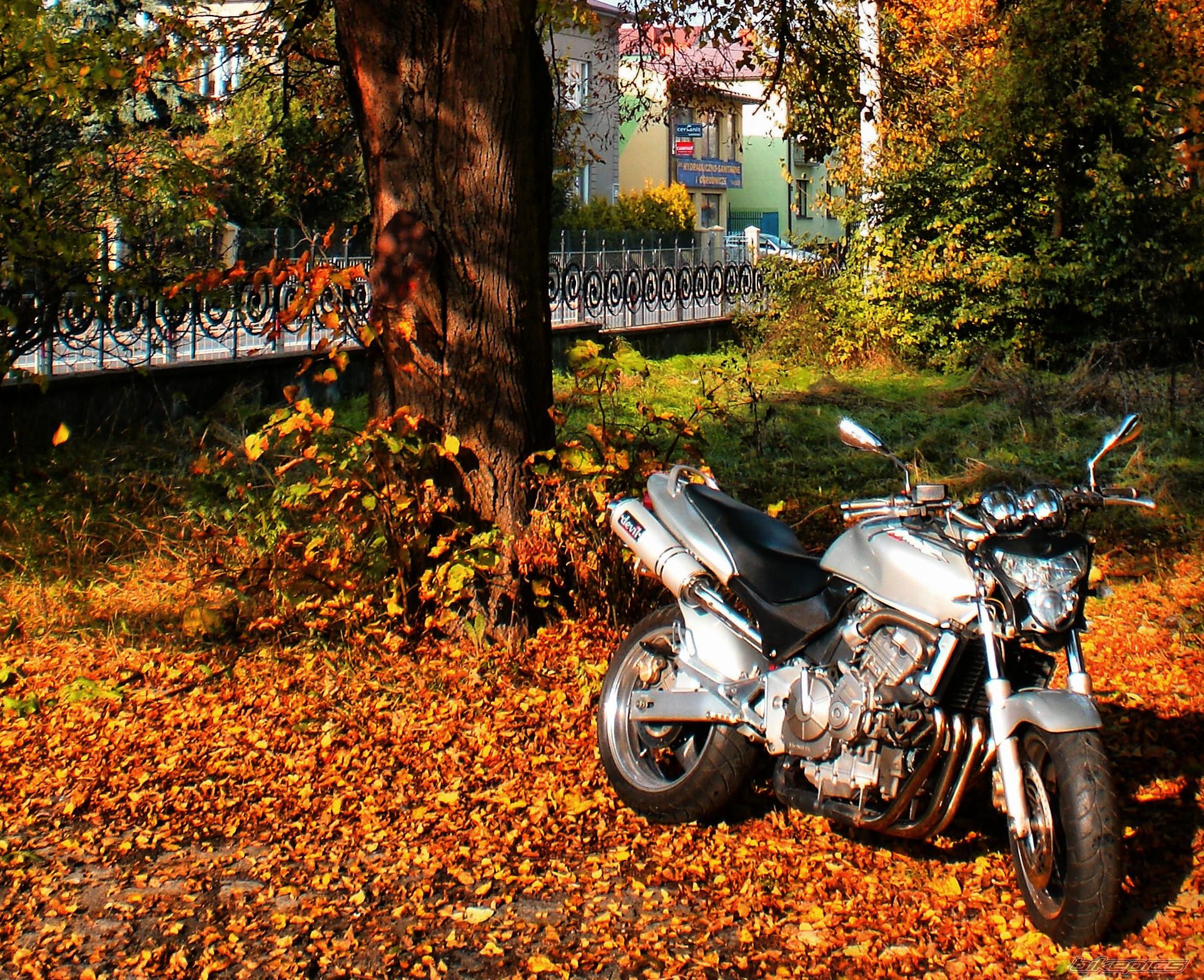 Bike Photo 1823900