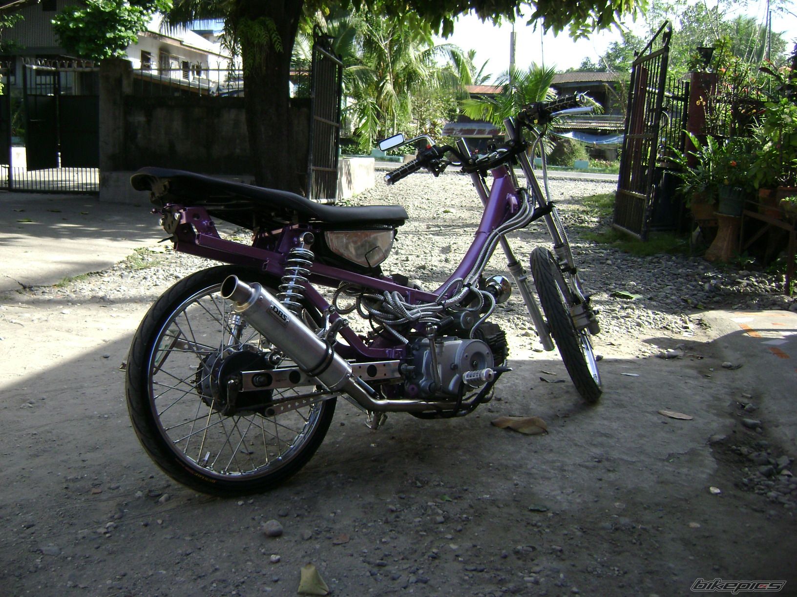 Photo 1823968