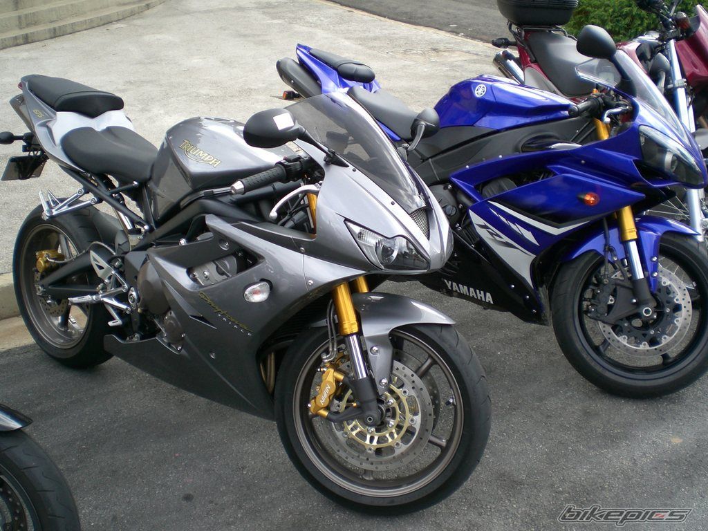 Photo 1824039