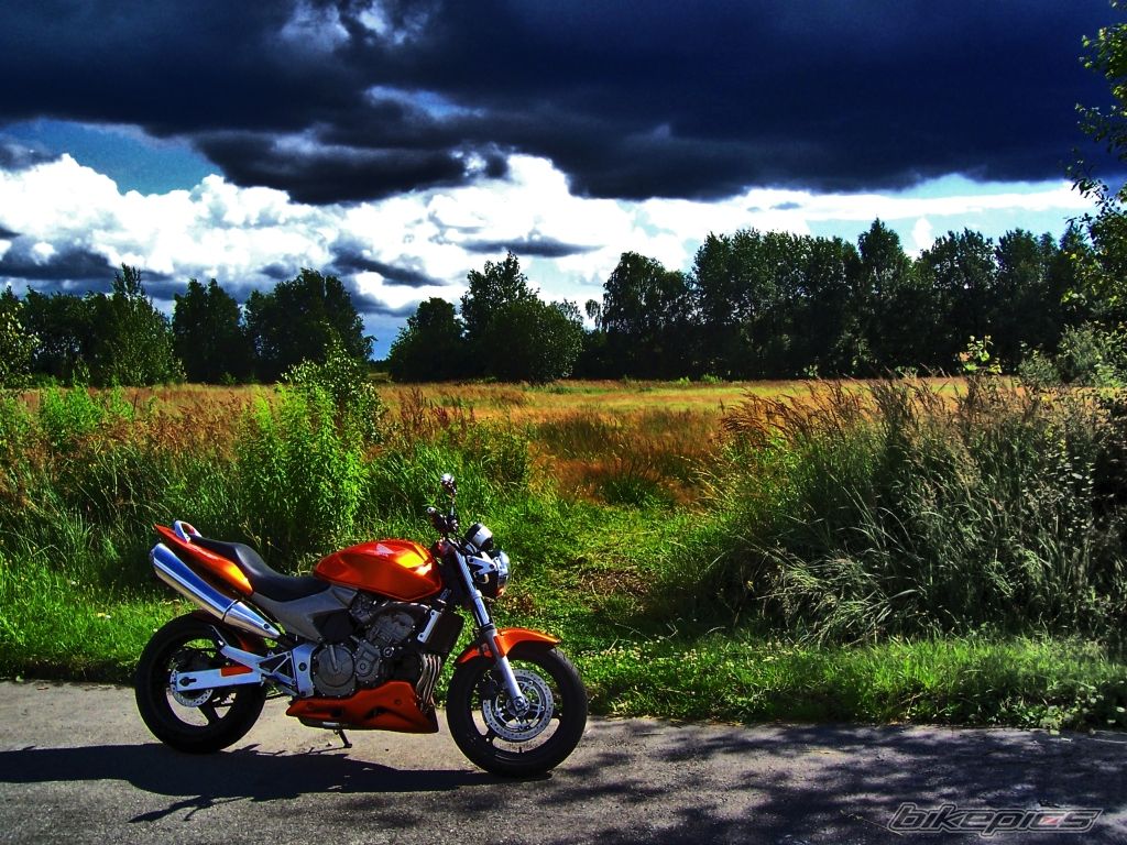 Photo 1824154