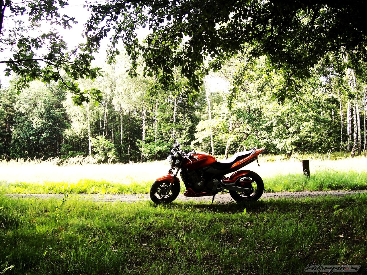 Photo 1824155