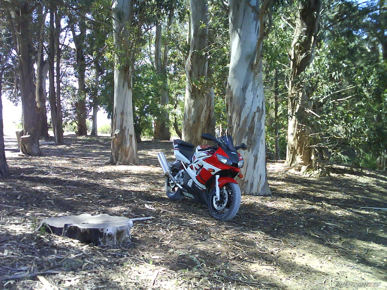Photo 1824166