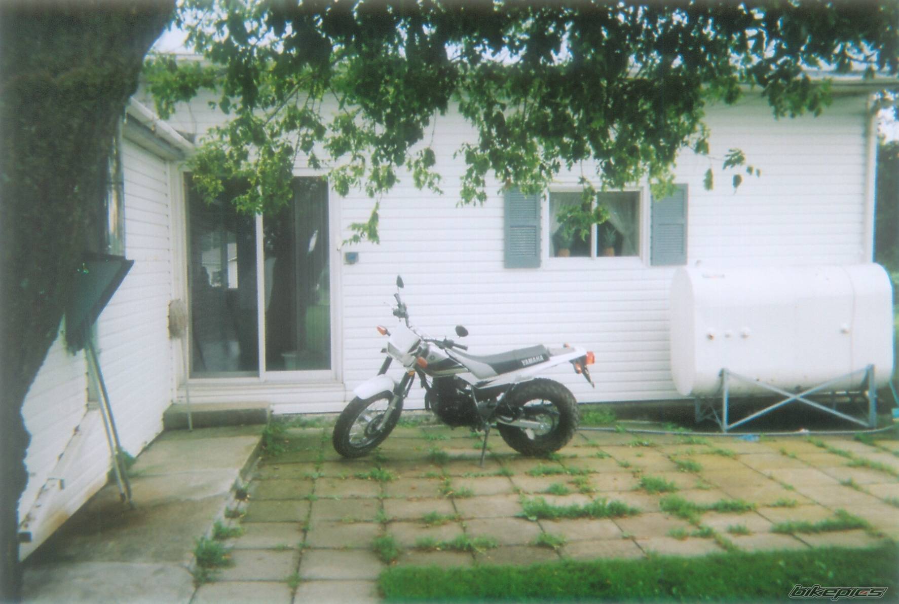 Photo 182425
