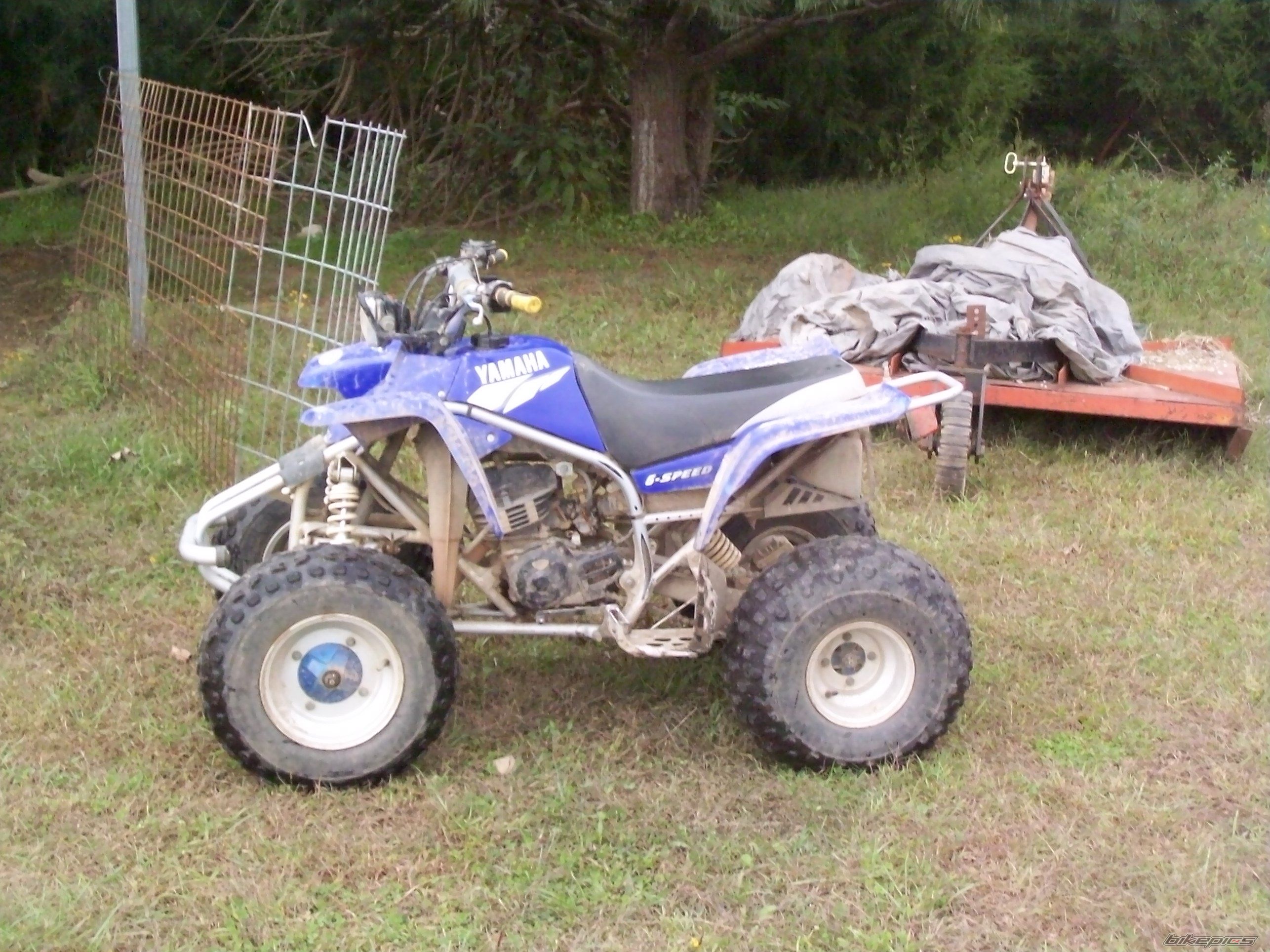 Photo 1824250