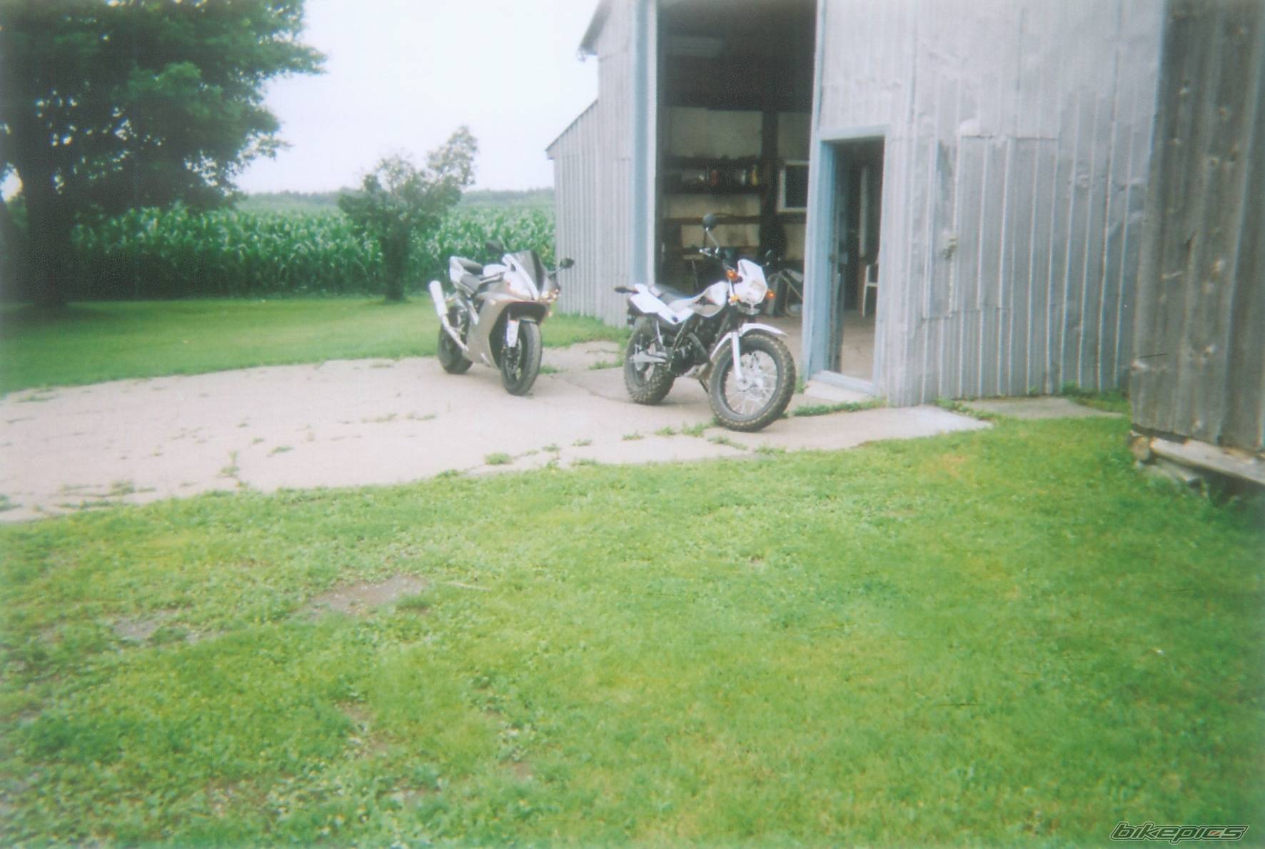 Photo 182427