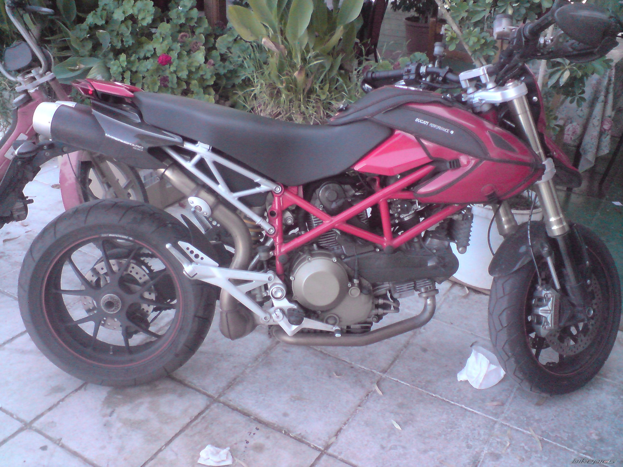 Photo 1824317